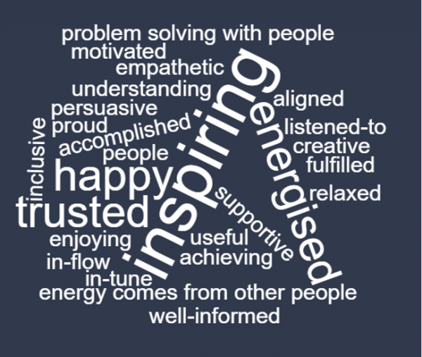 Describe leadership